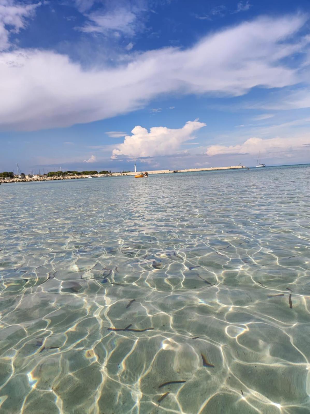 Casa Vacanze Il Faro San Vito Lo Capo-Trapani-Sicilia Ovest Holiday Home Dış mekan fotoğraf